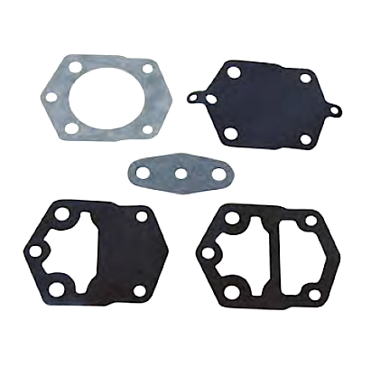 Fuel pump diapragm kit