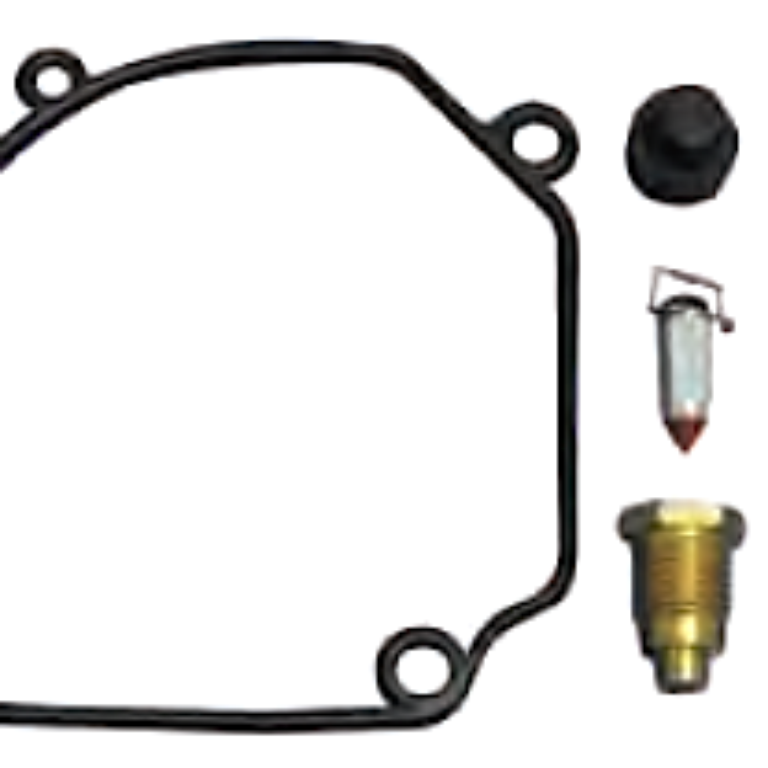 Servicesats förgasare