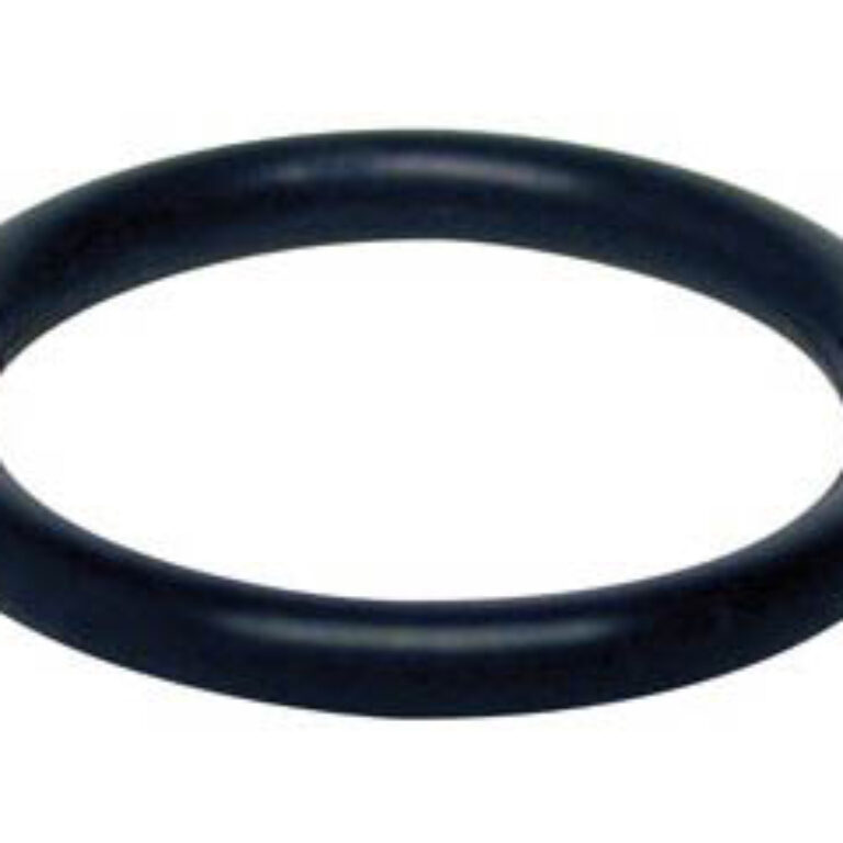 O-ring