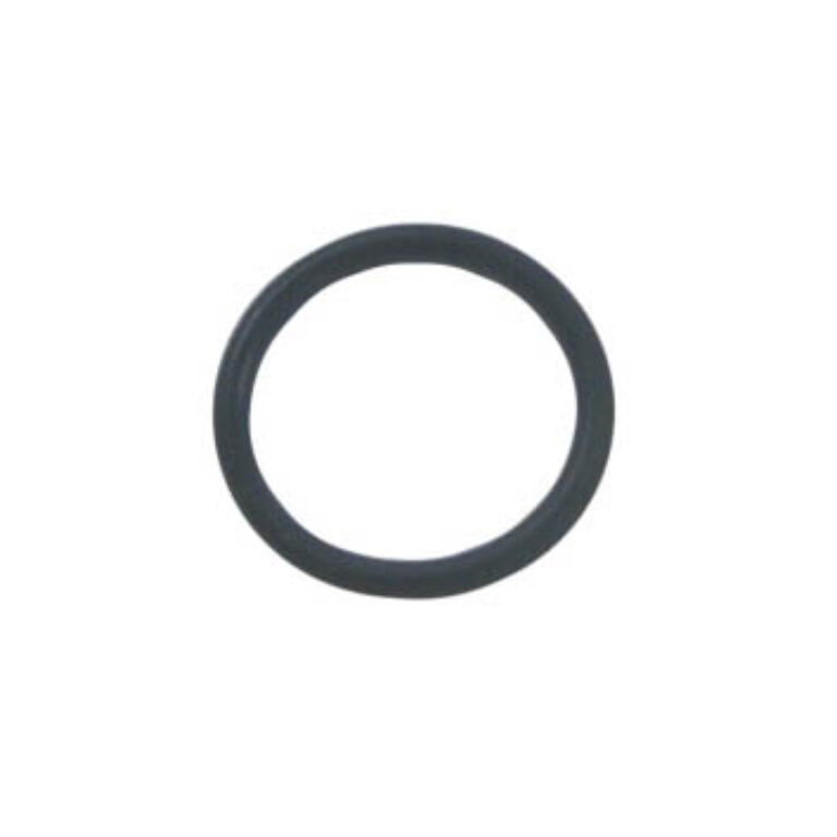 O-ring