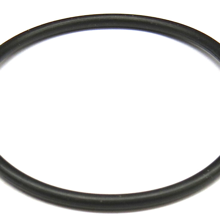 O-ring