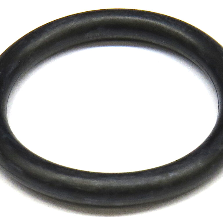 O-ring
