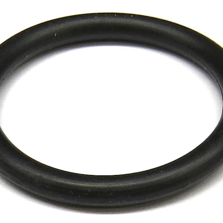 O-ring