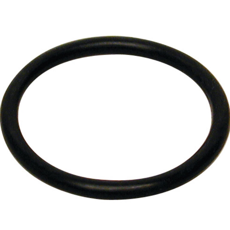 O-ring