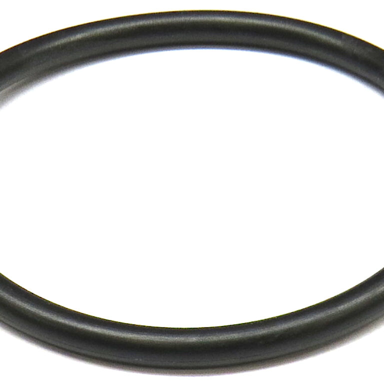 O-ring