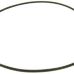 O-ring