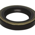 OIL SEAL