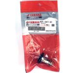 Termostat Yamaha Original 60C